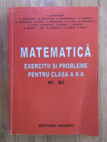 V. Schneider - Matematica. Exercitii si probleme pentru clasa a X-a, M1, M2