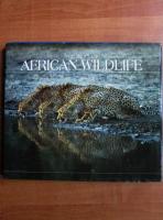 The best of African wildlife