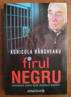Agricola Rangheanu - Firul negru. Romanul unui fost detinut politic