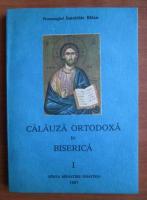 Anticariat: Ioanichie Balan - Calauza ortodoxa in biserica (volumul 1)