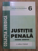 Pavel Abraham - Justitie penala. Norme juridice