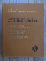 V. Ghetie - Atlas de anatomie a pasarilor domestice