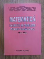 V. Schneider - Matematica. Exercitii si probleme pentru clasa a X-a, M1, M2