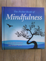 Anticariat: The pocket book of mindfulness