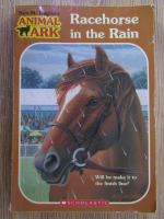 Ben M. Baglio - Racehorse in the rain
