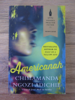 Anticariat: Chimamanda Ngozi Adichie - Americanah