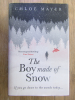 Anticariat: Chloe Mayer - The boy made of snow