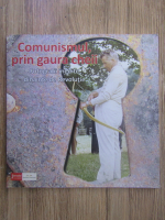 Anticariat: Dan Constantin, Paul Bardasu - Comunismul prin gaura cheii