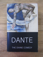 Anticariat: Dante Alighieri - The Divine Comedy