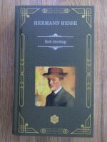 Hermann Hesse - Sub tavalug