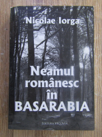 Nicolae Iorga - Neamul romanesc in Basarabia