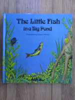 Teresa O Brien - The little fish in a big pond