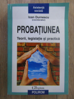 Ioan Durnescu - Probatiunea. Teorii, legislatie si practica
