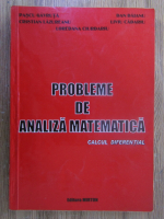 Loredana Ciurdariu - Probleme de analiza matematica. Calcul diferential