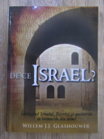Willem J. J. Glashouwer - De ce Israel?