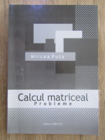 Mircea Puta - Calcul matriceal