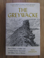 Nick Davidson - The greywacke