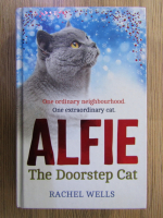 Rachel Wells - Alfie, the doorstep cat