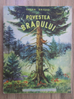 Cezar Dragoi - Povestea bradului