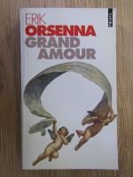 Anticariat: Erik Orsenna - Grand amour