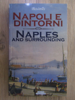 Anticariat: Gino Avolio - Naples and surrounding (editie bilingva)