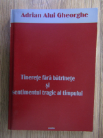 Adrian Alui Gheorghe - Tinerete fara batranete si sentimentul tragic al timpului