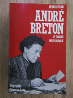 Henri Behar - Andre Breton, le grand indesirable
