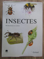 Insectes, 900 illustration en couleurs