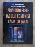 Ion Diaconescu - Prin ungherele iadului comunist Ramnicu Sarat