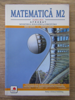 Marius Burtea, Georgeta Burtea - Matematica M2, clasa a XI a