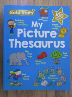 My picture thesaurus with 100 gold star stickers