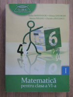 Anticariat: Stefan Smarandoiu - Matematica pentru clasa a VI-a, semestrul 1