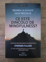 Anticariat: Stephen Fulder - Ce este dincolo de mindfulness?