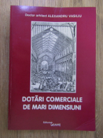 Alexandru Vasiliu - Dotari comerciale de mari dimensiuni