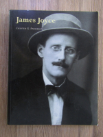 Anticariat: Chester Anderson - James Joyce