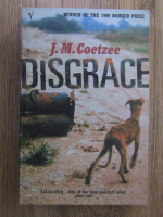 Anticariat: J. M. Coetzee - Disgrace