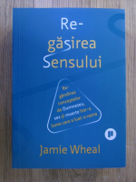 Jamie Wheal - Regasirea sensului