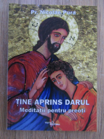 Anticariat: Nicolae Pura - Tine aprins darul. Meditatii pentru preoti
