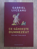 Gabriel Liiceanu - Ce gandeste Dumnezeu? 