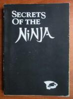 Ashida Kim - Secrets of the ninja