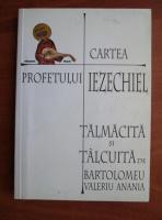 Valeriu Anania - Cartea profetului Iezechiel