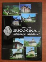 Anticariat: Romania Bucovina arhipelagul manastiresc