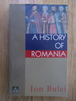 Ion Bulei - A history of Romania