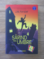 Anticariat: J.M. Forster - Sarind prin umbre