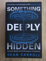 Sean Carroll - Something deeply hidden