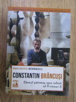 Anticariat: Dan Silviu Boerescu - Constantin Brancusi. Zborul patimas spre infinit al Printesei X
