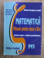 Danut Dracea - Matematica. Manual pentru clasa a XI a