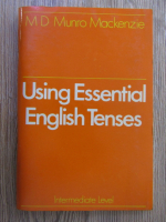 Using Essential English Tenses