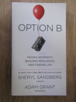Anticariat: Sheryl Sandberg - Option B