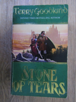 Anticariat: Terry Goodkind - Stone of tears